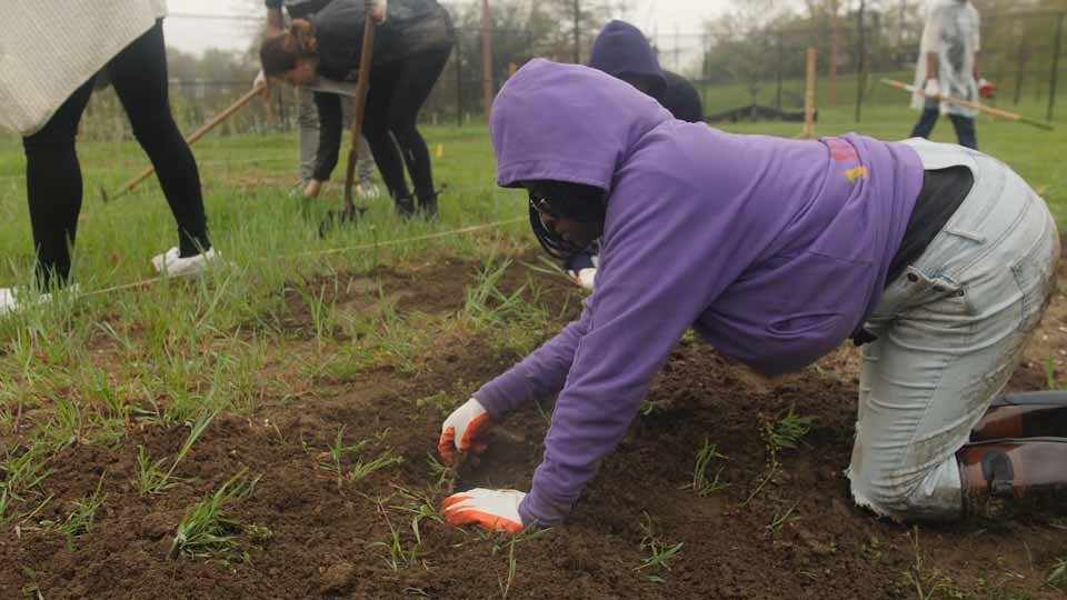 Recap video for a community garden volunteer event